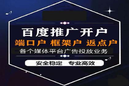 知名SEM服务公司成功案例分享