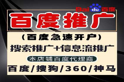 某某SEM团队成功提升网站流量与转化率的实战经验